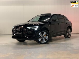 Audi E-tron E-tron 55 quattro advanced Pro Line Plus 95 kWh