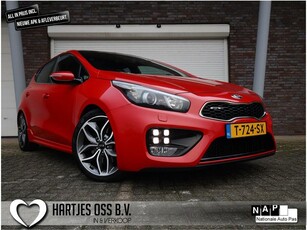 Kia cee'd 1.6 T-GDi GT 5drs. 204pk (Vol-Opties!)