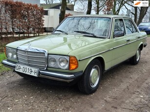 Mercedes-Benz 200-280 (W123) 300 D 5 cyl. *NL kenteken*