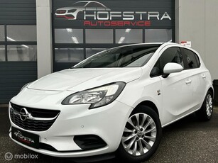 Opel Corsa 1.0 Turbo 120 Jaar Edition Camera Stoel/Stuurverw