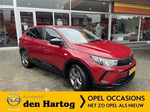 Opel Grandland 1.6 Turbo Hybrid GS Camera V+A/Zelf