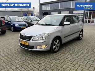 Skoda Fabia 1.2 TDI Greenline Airco Riem vervangen