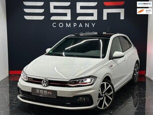 Volkswagen Polo 2.0 TSI GTI Pano Virtual ACC