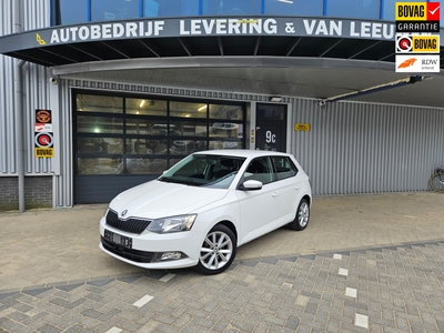 SKODA FABIA 1.0 TSI Automaat Cruise control/LM velgen/ Rijklaar prijs!