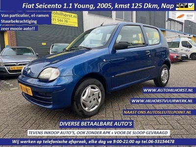 Fiat Seicento 1.1 Young, Diverse Occasions in deze prijzen