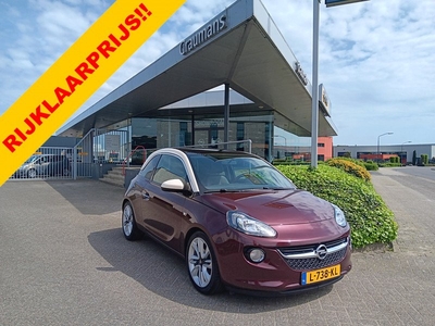 Opel ADAM 1.2 70PK Glam, Clima, Panoramadak, 17