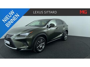 Lexus NX 300h AWD Luxury Line, Panodak, Electr.klep!