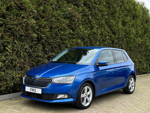 Skoda Fabia 1.0 TSI Carplay Camera Garantie