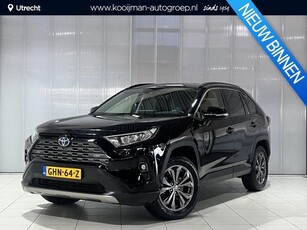 Toyota RAV4 2.5 Hybrid Style Leder Apple