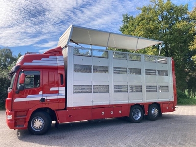 DAF CF 410 1/2:3 livestock veewagen Type 2 direct zeugstand