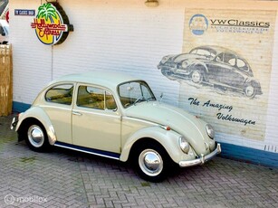 Volkswagen Kever 1200