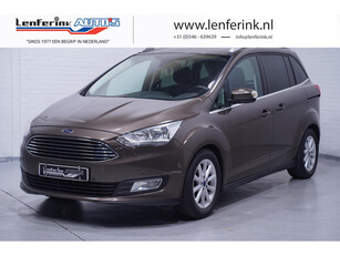 Ford Grand C-Max 1.0 Titanium Clima Navi PDC v+a