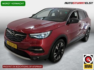 Opel Grandland X 1.2 Turbo Business Executive Zwart dak en