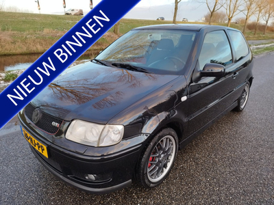 Volkswagen Polo 1.6-16V GTI ** Clima ** Xenon ** NL auto **