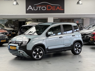 Fiat Panda 1.0 Hybrid Launch Edition (bj 2020)