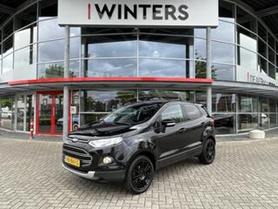 Ford ECOSPORT 1.0 EcoBoost Titanium S Navi+BT+DAB+ ECC-Airco Cr.Control Stoelverw. Smartkey 17