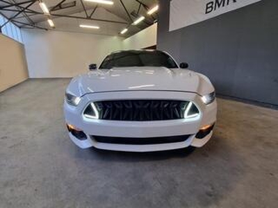 Ford MUSTANG Fastback 5.0 GT|STAGE 2|CUSTOM|FULL OPTION|SCHADE|UNIEK