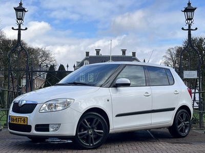 Škoda Fabia AUTOMAAT NL-AUTO! CLIMA CRUISE TREKHAAK!