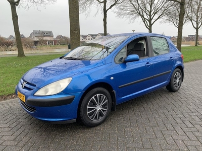 Peugeot 307 1.4 XT (bj 2002)