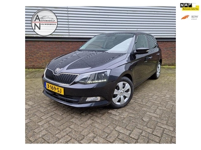 Skoda FABIA 1.0 TSI Monte Carlo Cruise control PDC Klimaat