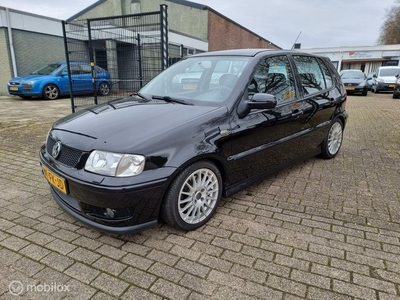 Volkswagen Polo 1.6-16V GTI. Verlaagd. Z Mooi.