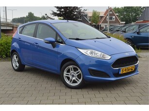 Ford Fiesta 1.0 EcoBoost 100pk 5drs Titanium (bj 2013)