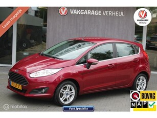 Ford Fiesta 1.0 EcoBoost Titanium101Pk5DrsBoekjesNap