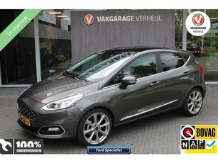 Ford Fiesta 1.0 EcoBoost Vignale125Pk5DrsNaviNapBoekjes