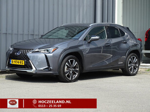 Lexus UX 250h Business Line | Camera | LED | Stoel-&Stuurverwarming