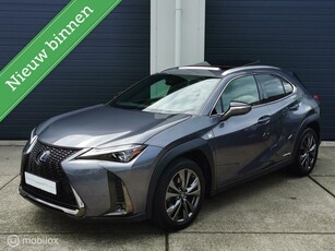 Lexus UX 250h F Sport Mark-Levinson 360 cam full options