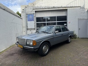 Mercedes-Benz 250 Nieuwe LPG Instalatie (bj 1982)