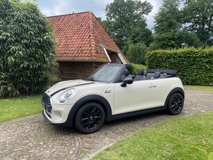 Mini Mini Cabrio 1.5 Cooper Chili Serious