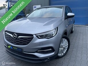 Opel Grandland X / 1.2 / Turbo / Dealer onderhouden /