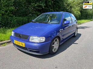 Volkswagen Polo 1.4 VERLAAGD!