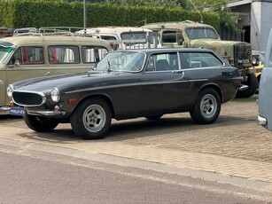 Volvo 1800 ES Palmen Collectie! Origineel Goud!