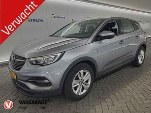 Opel Grandland X 1.2 Turbo Online Edition