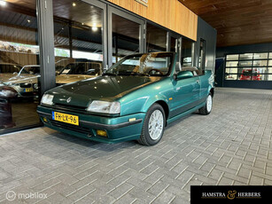 Renault 19 1.8 TXE groen Cabrio