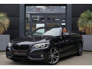 BMW 2 Serie Cabrio 220i High Executive 184pk