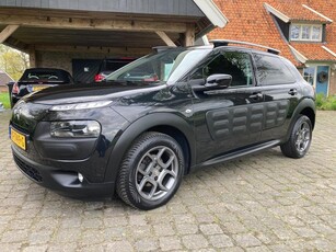 Citroen C4 Cactus 1.2 PureTech Shine 110 pk