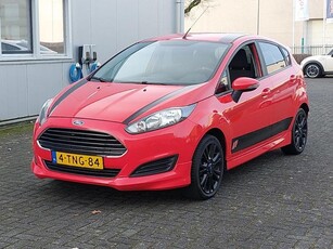 Ford Fiesta 1.0 EcoBoost Hot Hatch 100PK! (bj 2014)