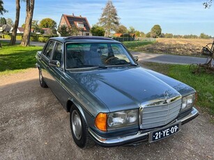 Mercedes-Benz 280 W123 (bj 1976, automaat)