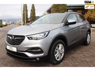 Opel Grandland X Selective Cruise Controle Parkeersensoren