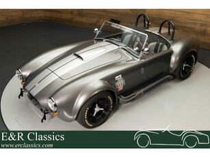 Backdraft Roadster Zeer goede staat 350 PK 1965