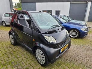 Smart cabrio cabrio & pure Elec ramen , Automaat