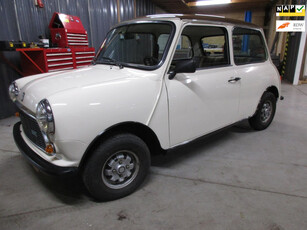 Austin 1000 HLE