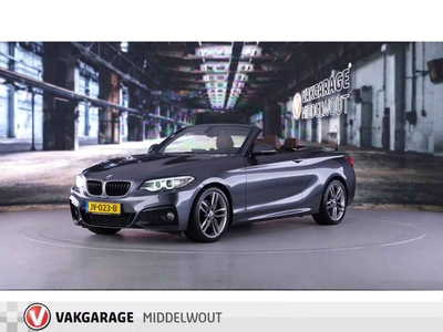 BMW 2 Serie Cabrio 220i M Sport/Leder/Stoelv/Clima/18