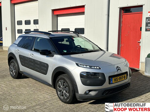 Citroen C4 Cactus 1.6 BlueHDi Camera