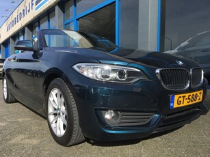 BMW 2 Serie Cabrio 220i (bj 2015)