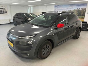 Citroën C4 Cactus 1.6 BlueHDi Business Plus Panorama Camera