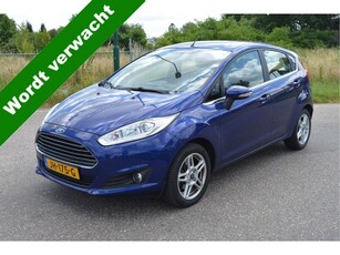 Ford Fiesta 1.0 EcoBoost Titanium 101 Pk 5 Deurs